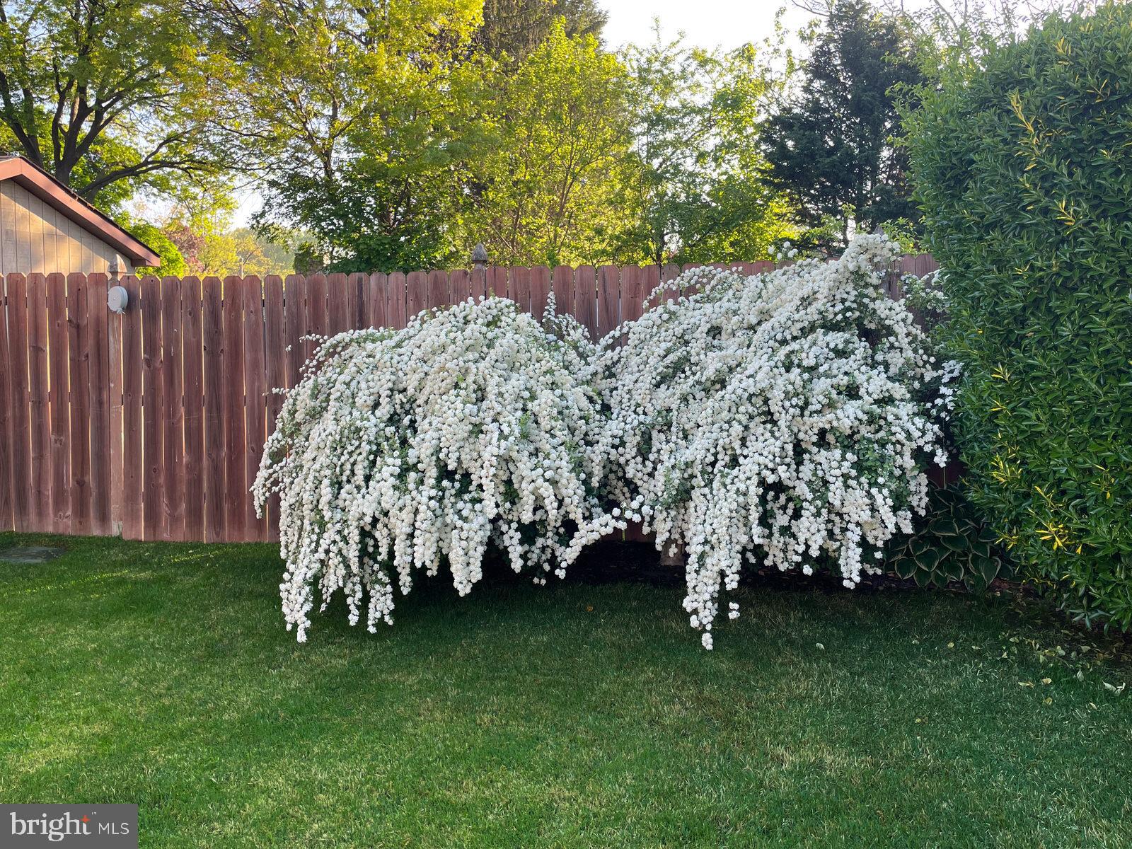 TORRESDALE (EAST) - Residential