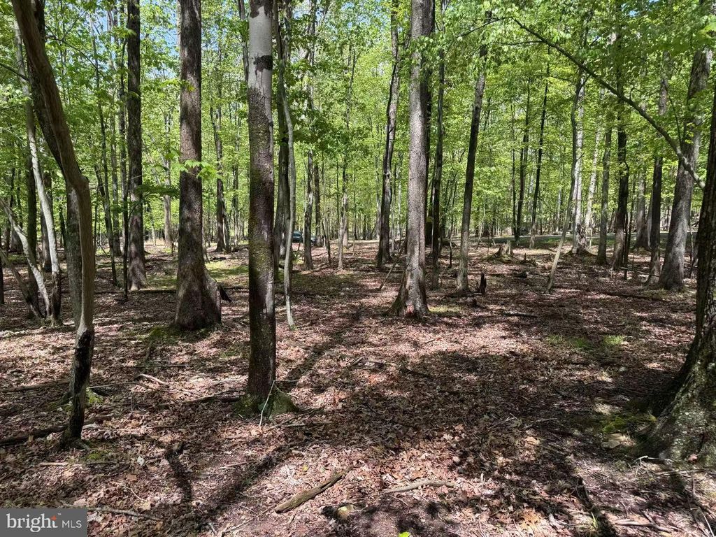 Photo of 0 W Algonquin Drive, HAZLETON, PA 18202 (MLS # PASK2022426)