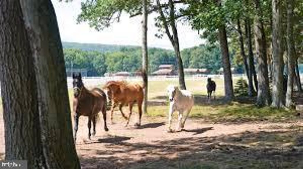 Photo of 0 W Algonquin Drive, HAZLETON, PA 18202 (MLS # PASK2022426)