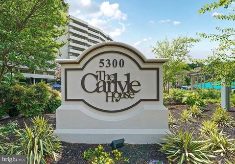 5300 COLUMBIA PIKE 908 ARLINGTON VA 22204