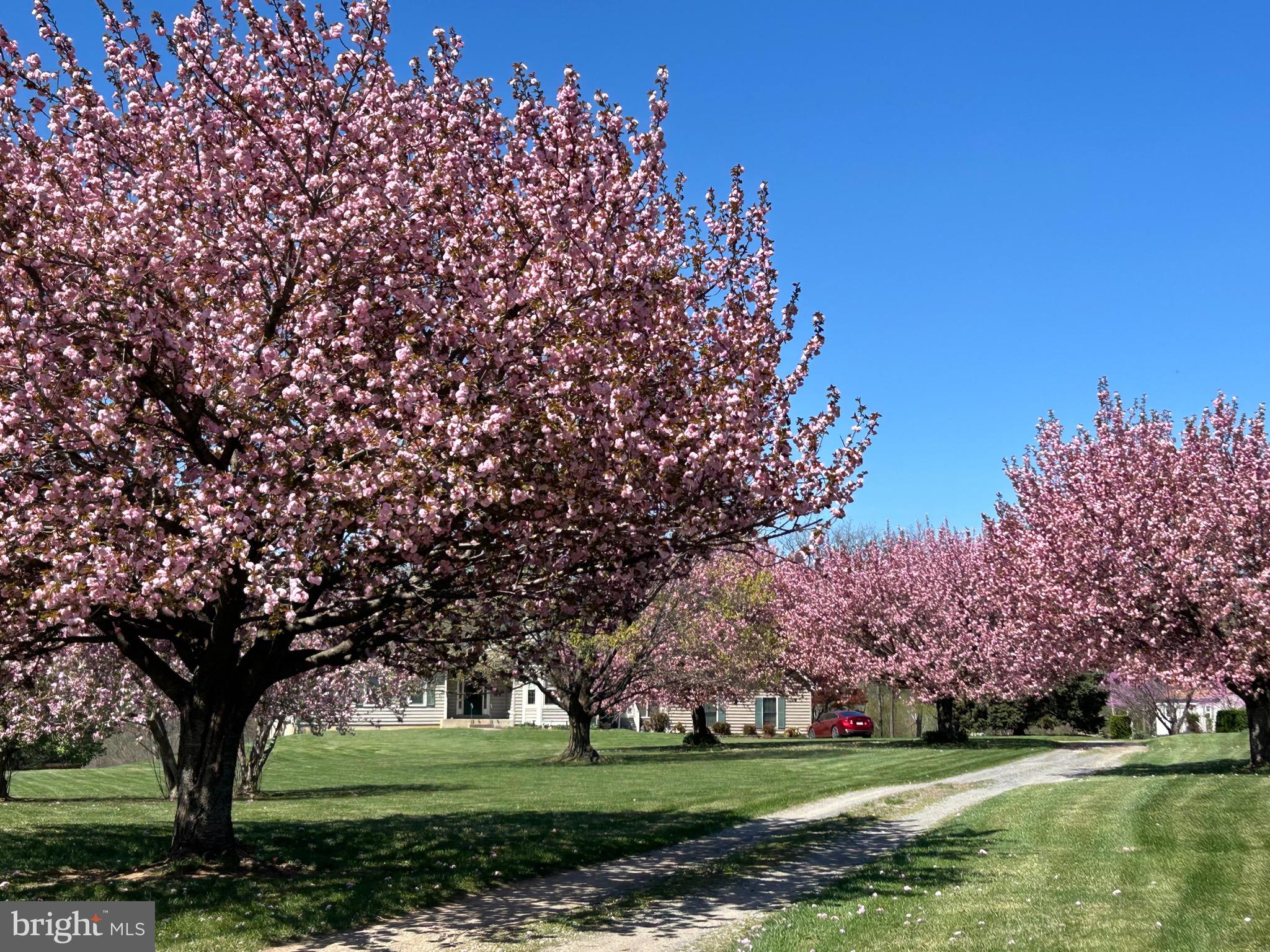 PAXSON - Residential
