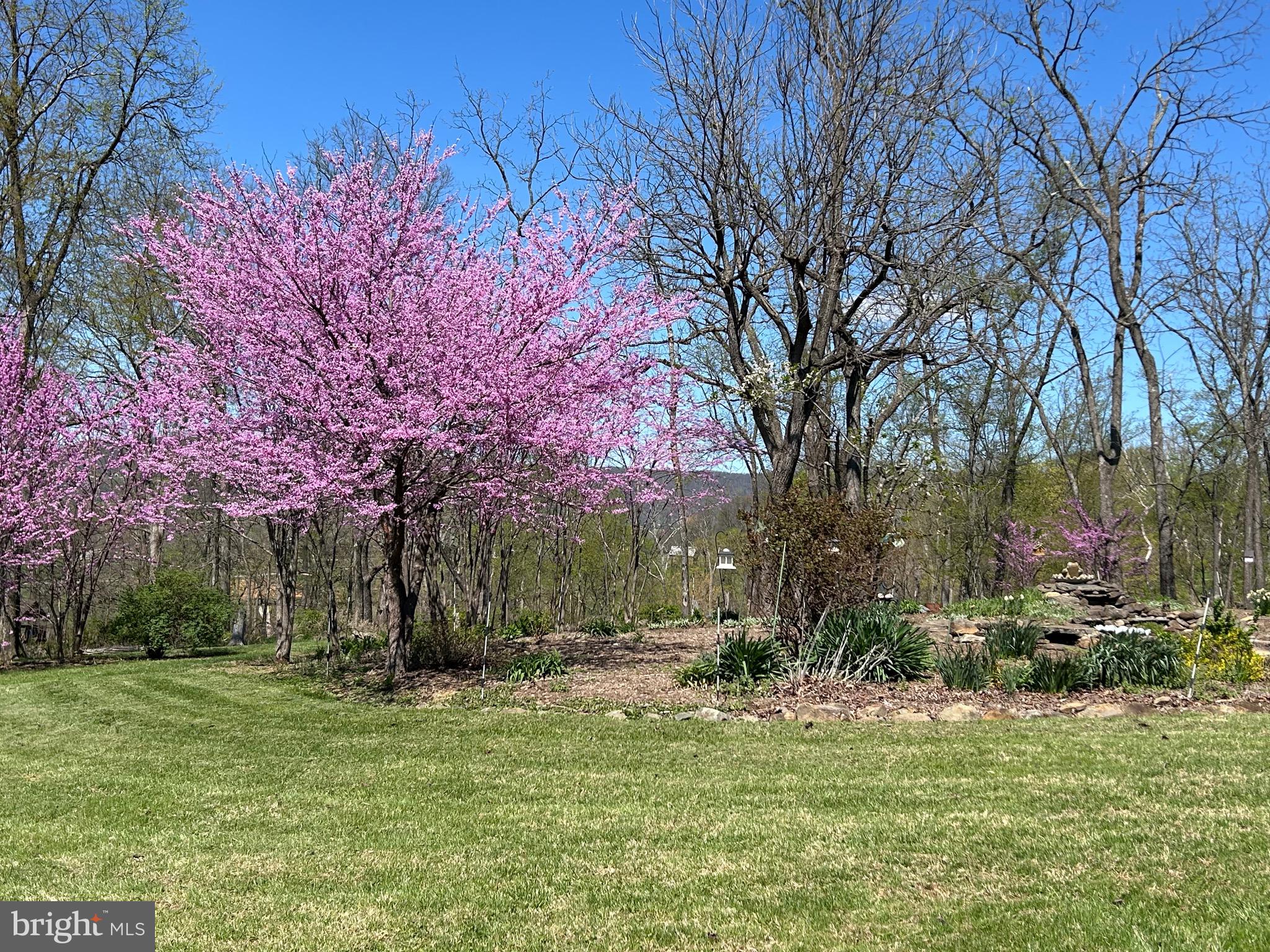 PAXSON - Residential