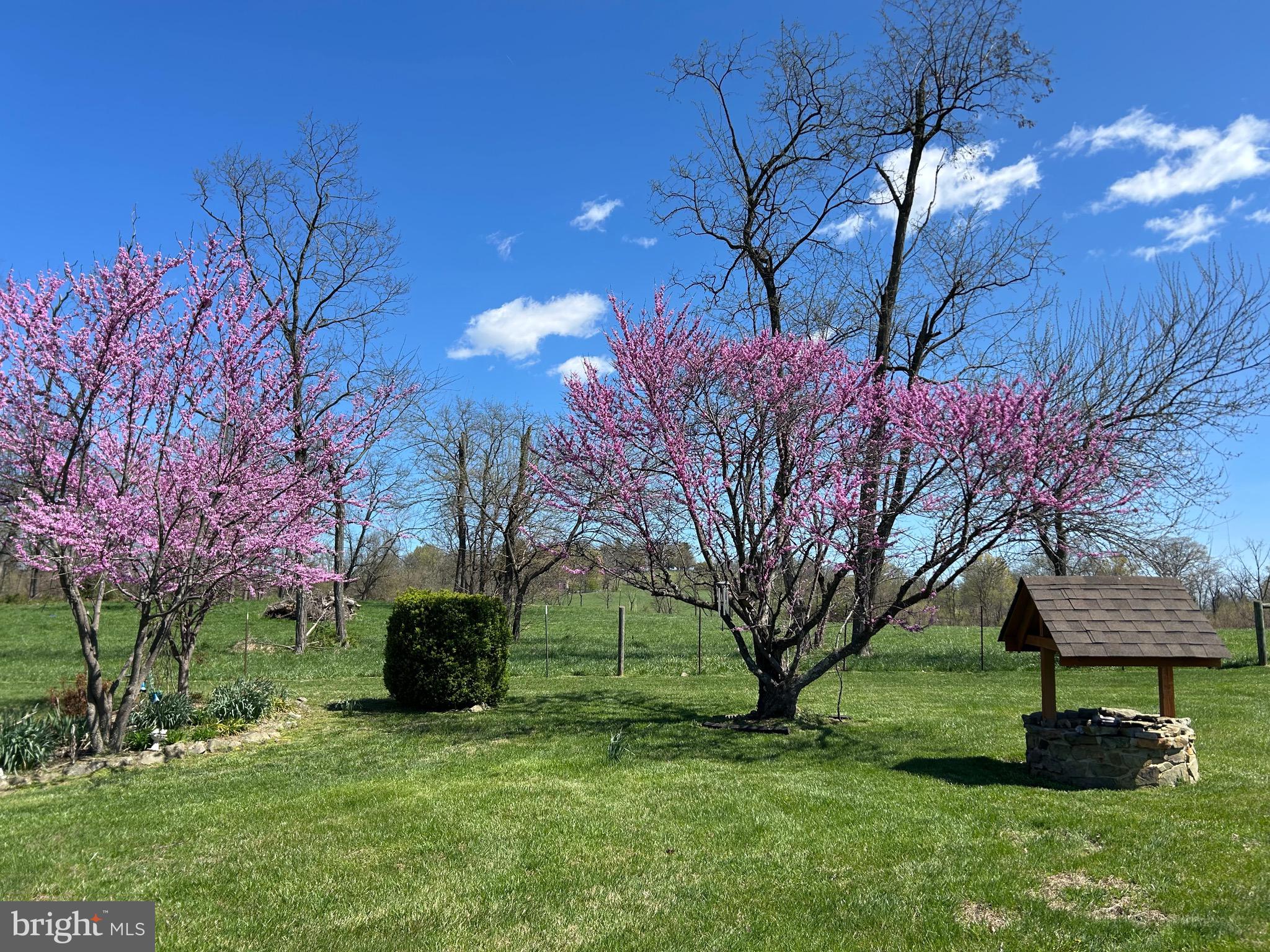 PAXSON - Residential