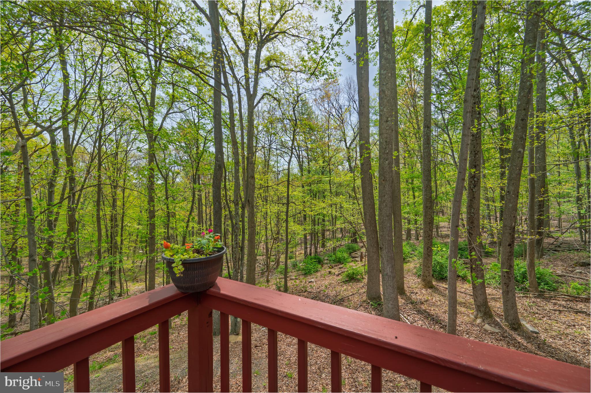 SOMERSET - Residential