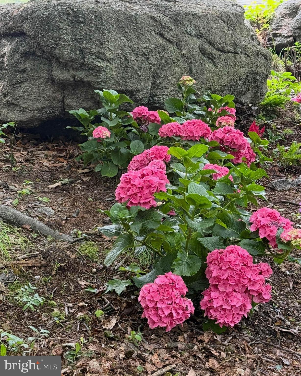 HAZLETON - Residential