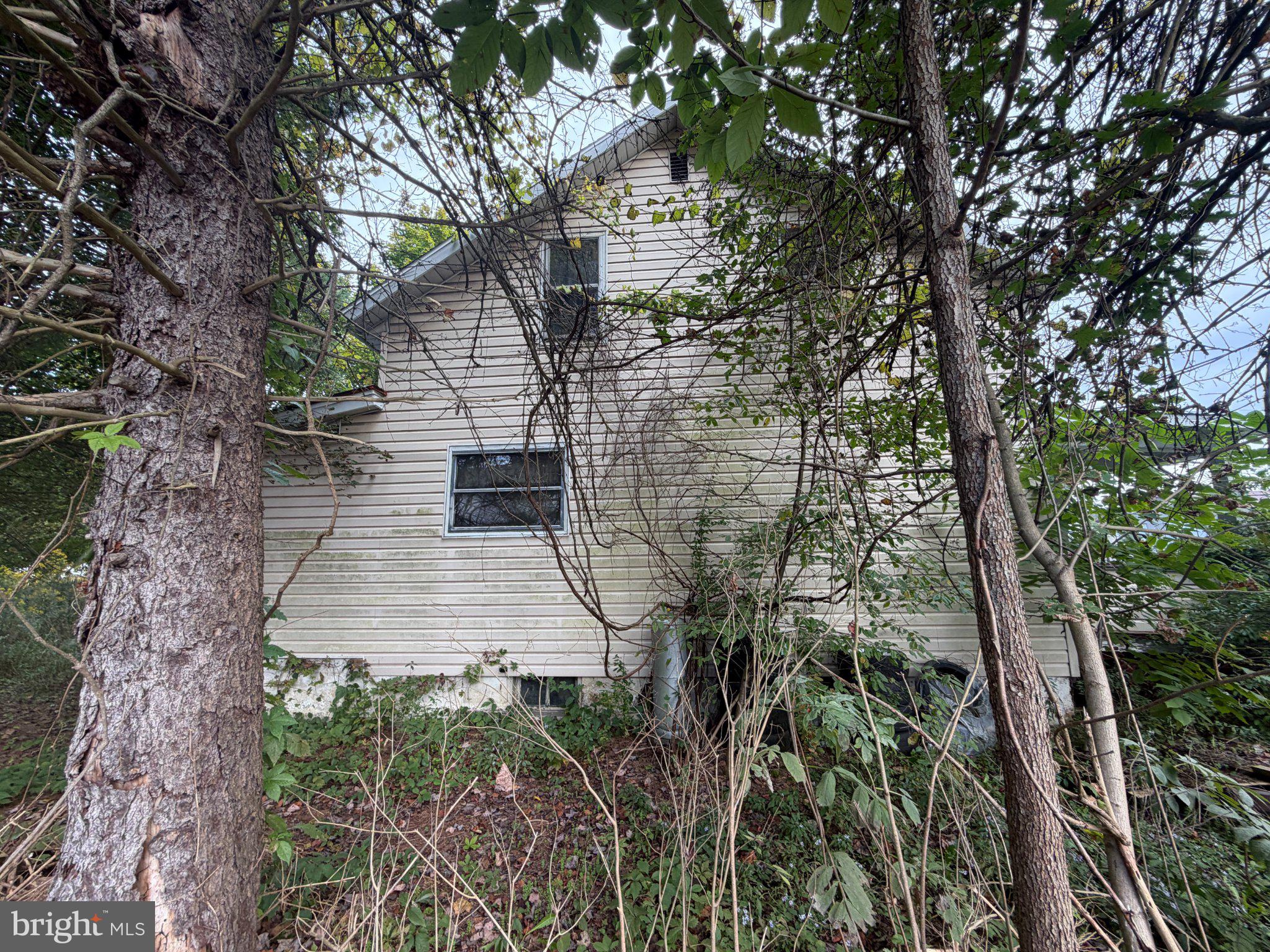 1801 DORSEY AVENUE