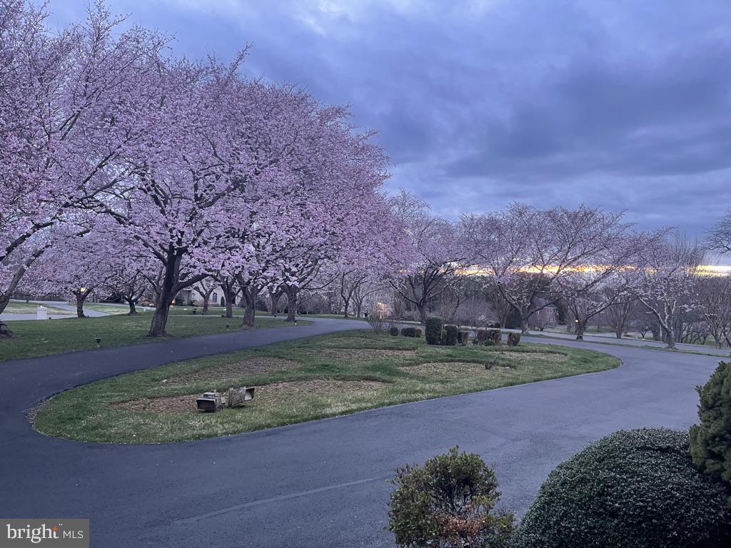 STONEY CREEK ESTATES - Residential