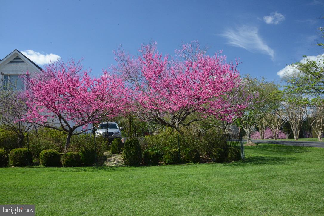 STONEY CREEK ESTATES - Residential