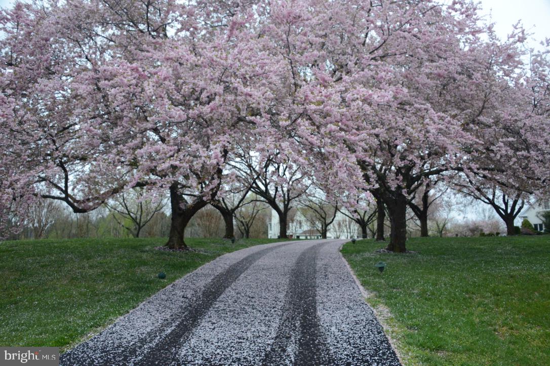 STONEY CREEK ESTATES - Residential
