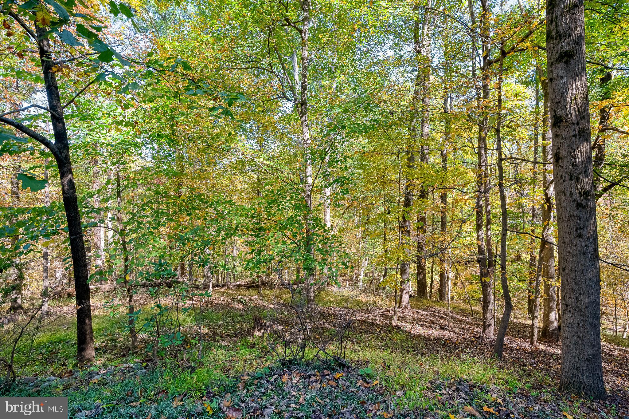 WORTHINGTON HILLSIDE II - Residential