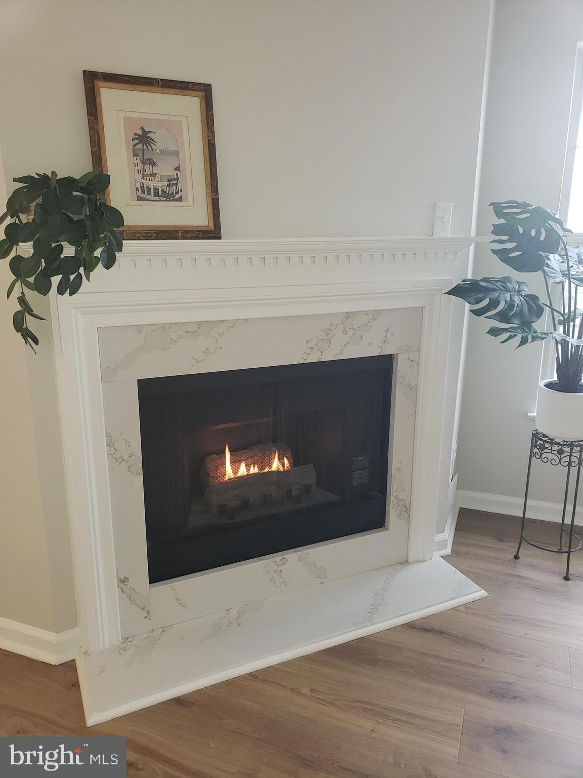 CHELSEA COURTS - Residential