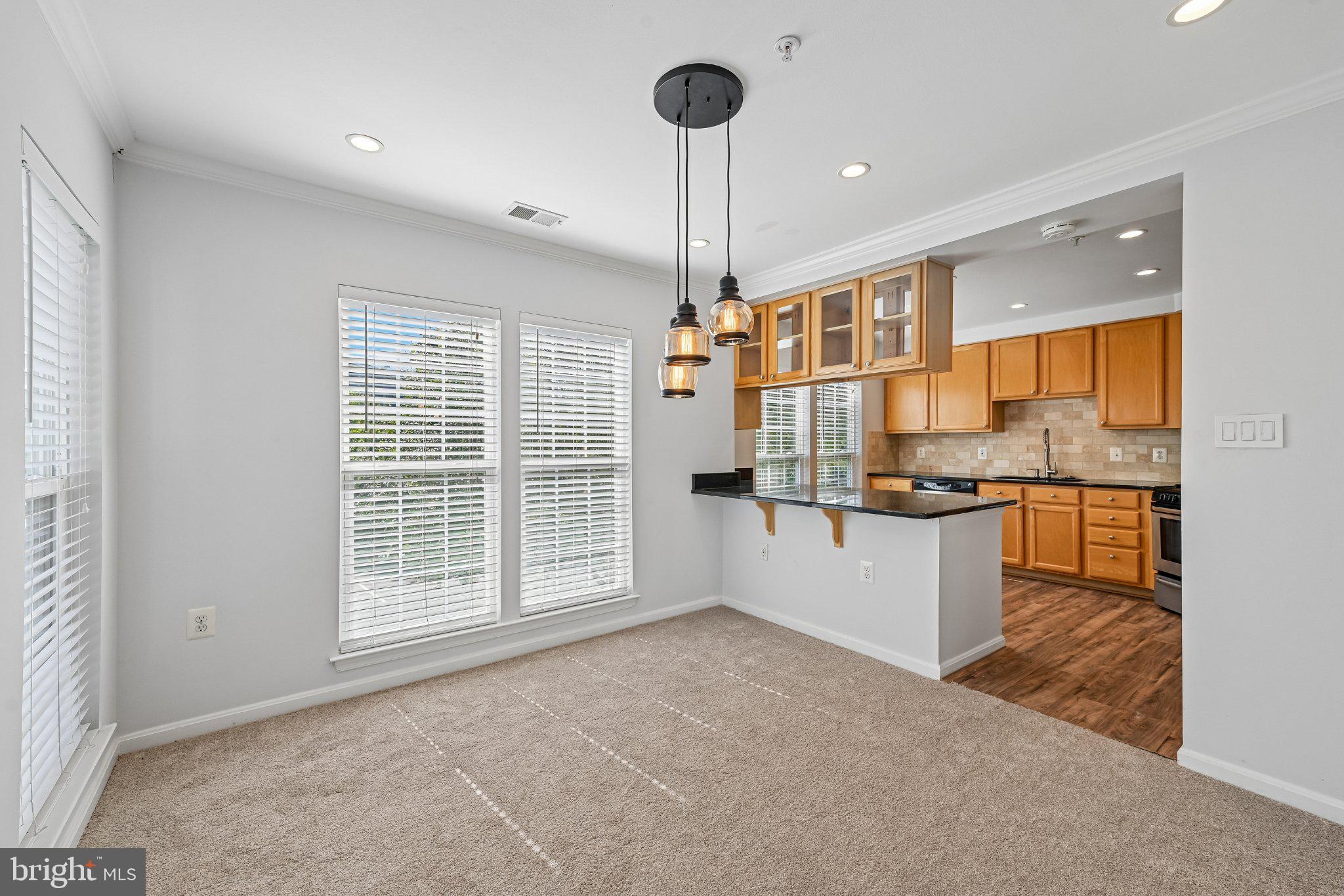 9801 FEATHERTREE TERRACE 204