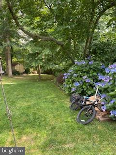 ABINGTON WOODS - Residential
