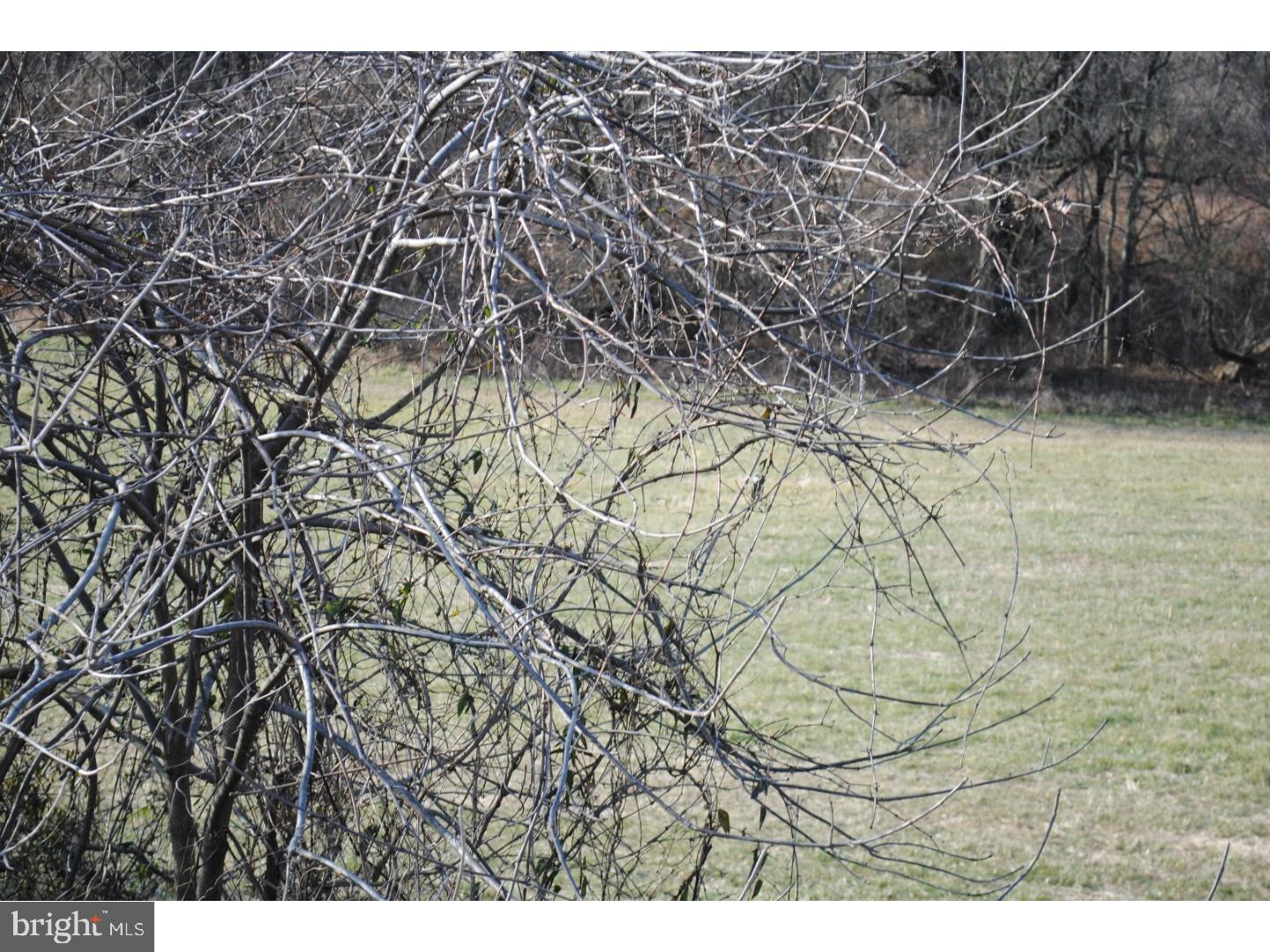 NONE AVAILABLE - Land