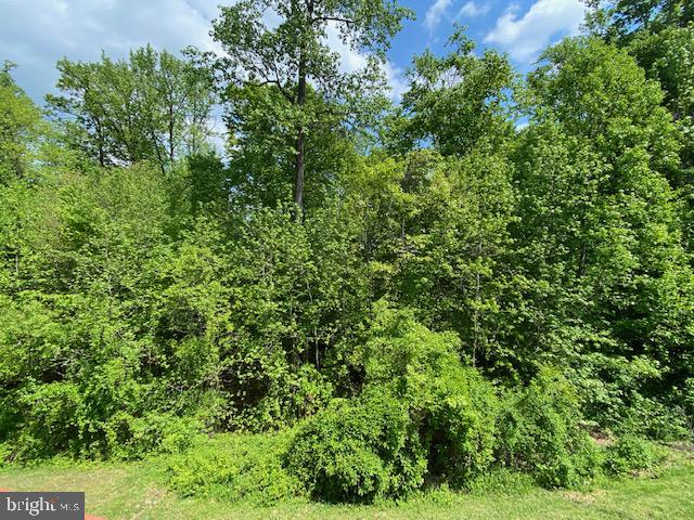 BRISTOL FOREST - Residential Lease