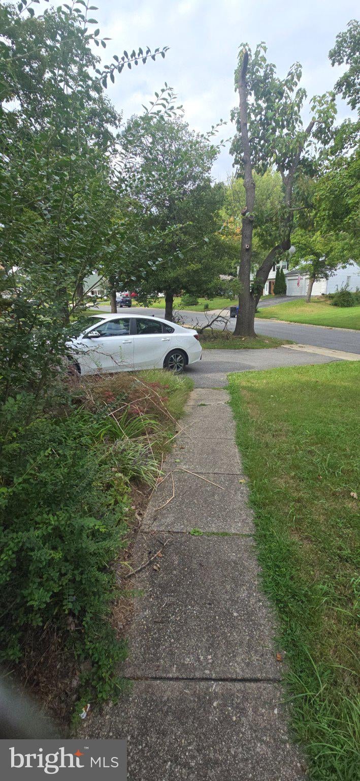 4010 WILLIAM LANE