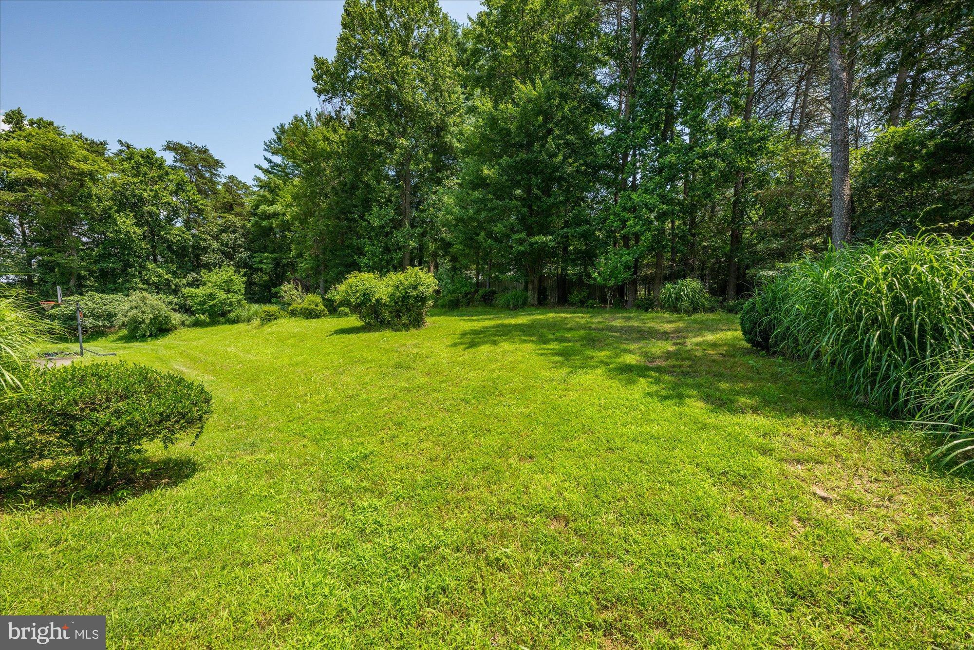 PEACOCK STATION - Residential