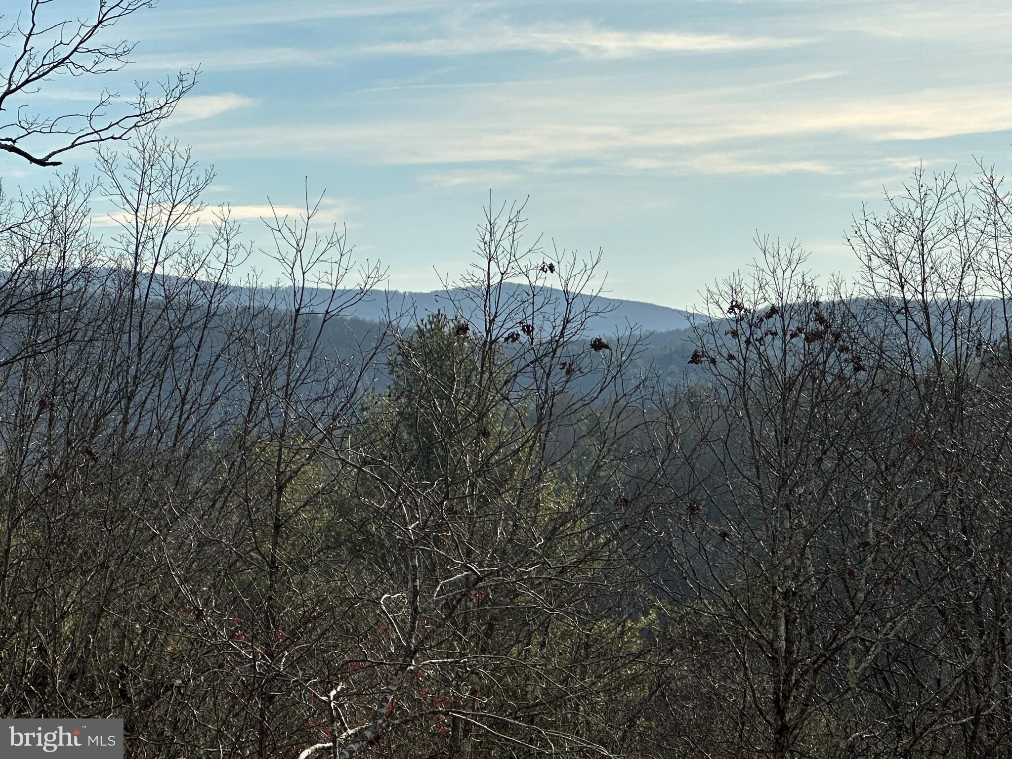 CHRISTINA'S WORLD II - Residential