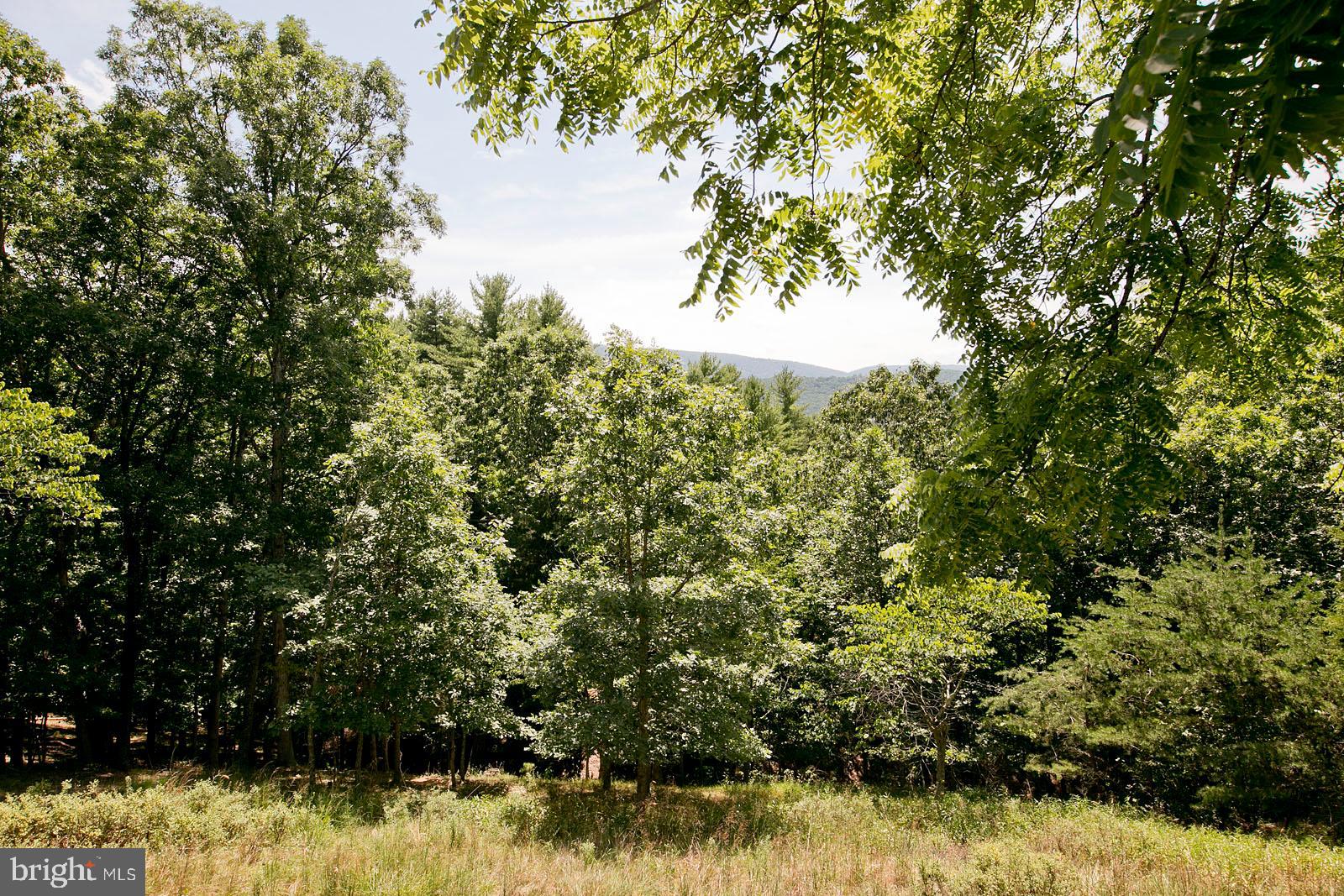 CHRISTINA'S WORLD II - Residential