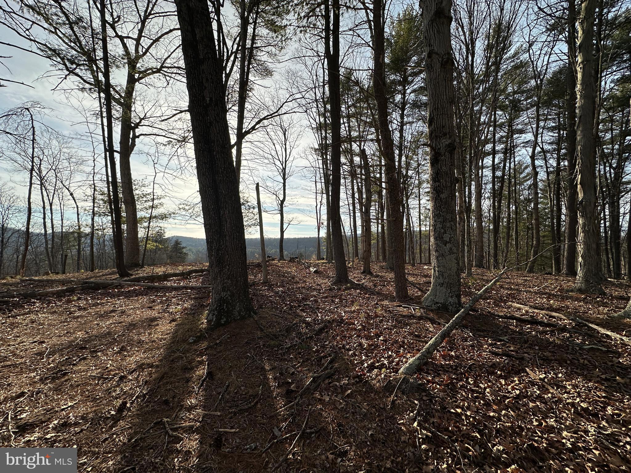 CHRISTINA'S WORLD II - Residential