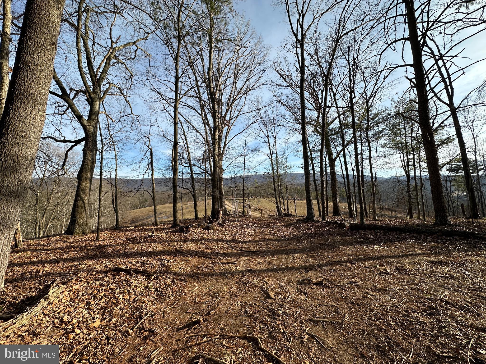 CHRISTINA'S WORLD II - Residential