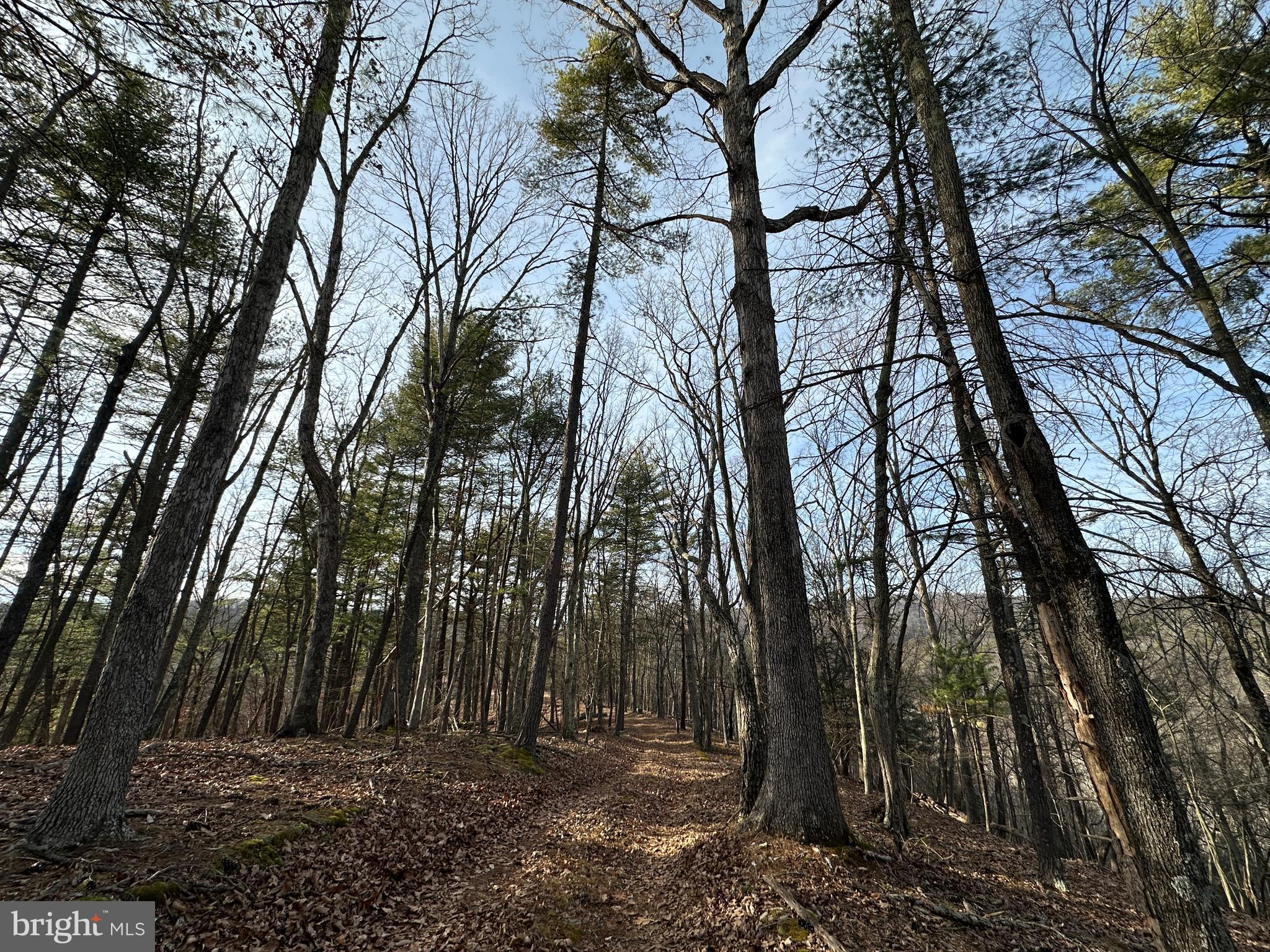 CHRISTINA'S WORLD II - Residential