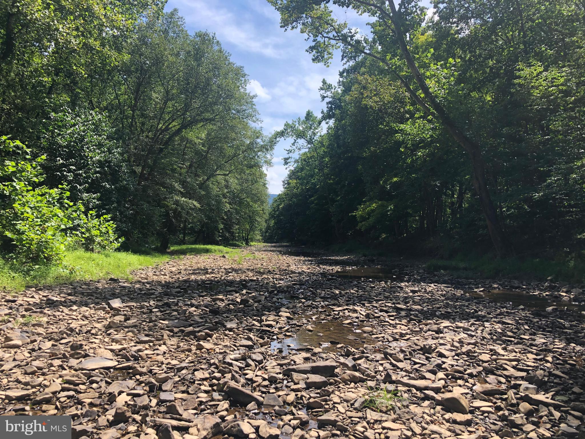 CHRISTINA'S WORLD II - Residential