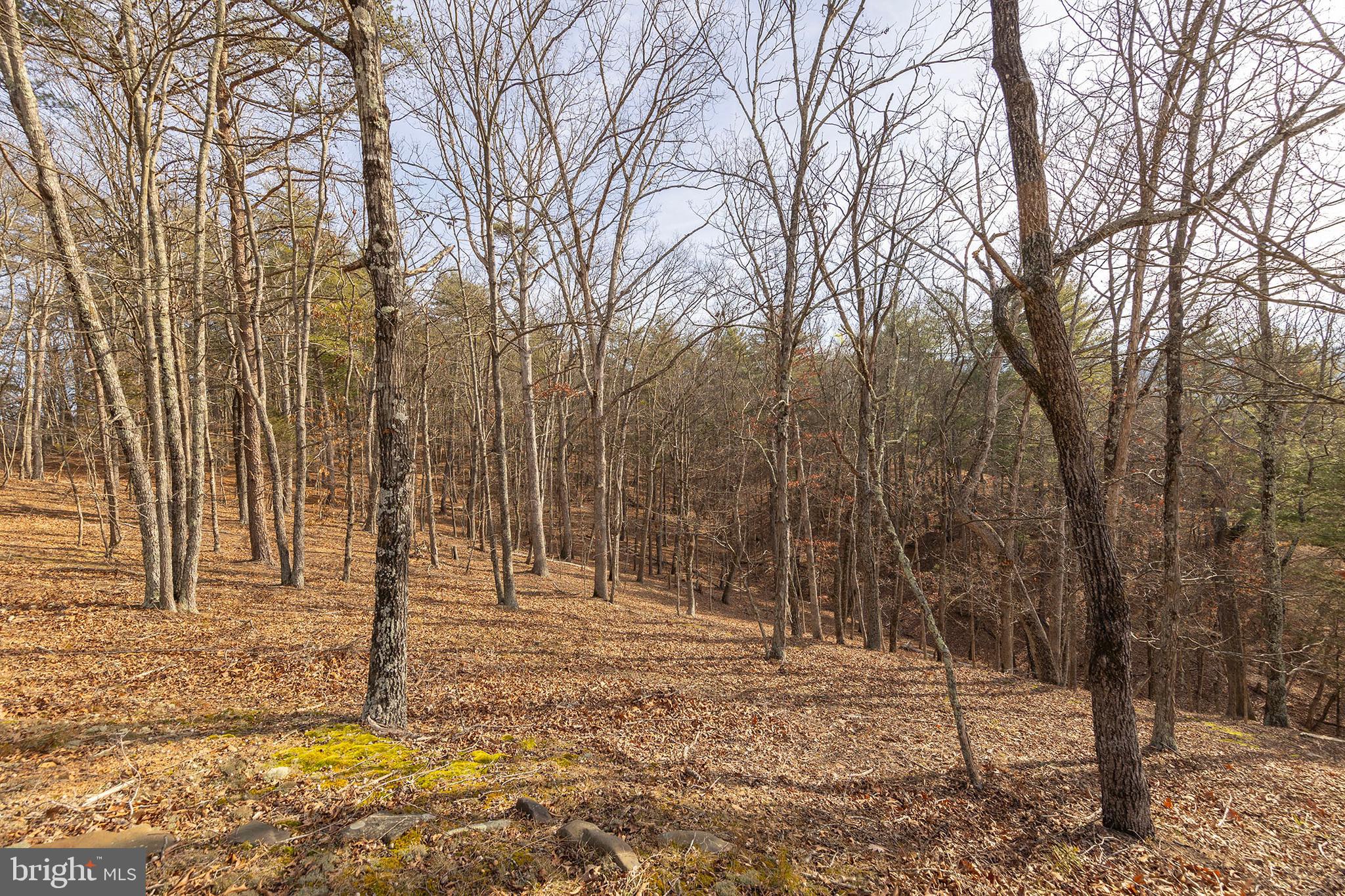 CHRISTINA'S WORLD II - Residential