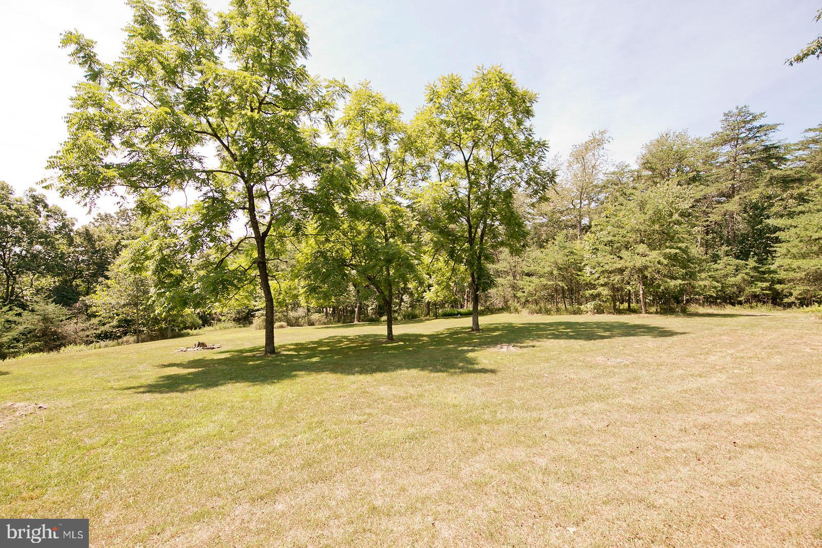 CHRISTINA'S WORLD II - Residential