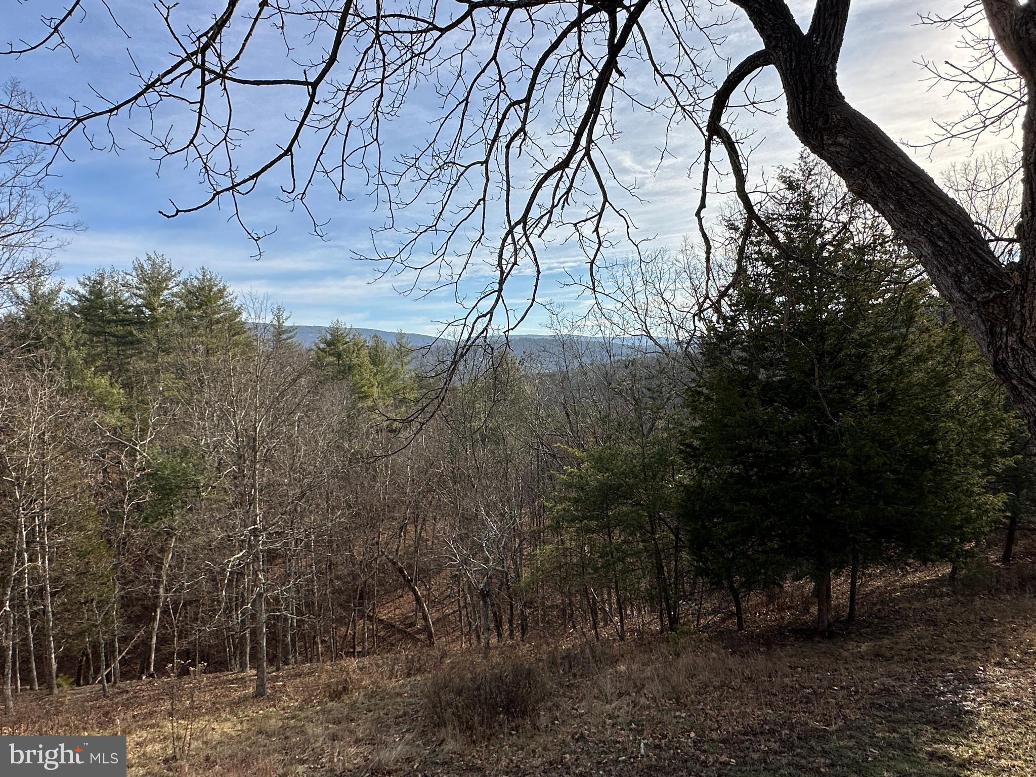 CHRISTINA'S WORLD II - Residential