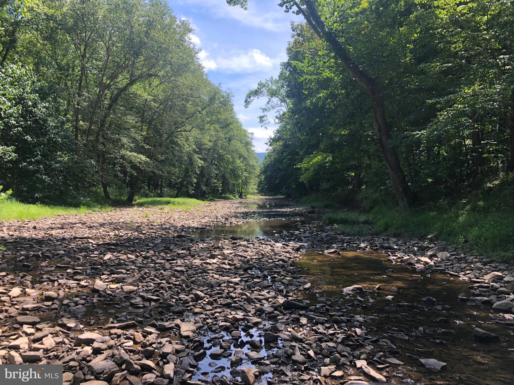 CHRISTINA'S WORLD II - Residential