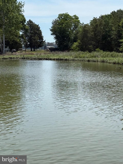 Vacant Land For Sale - 2117 Annie Lane<br/> CAMBRIDGE, MD 21613