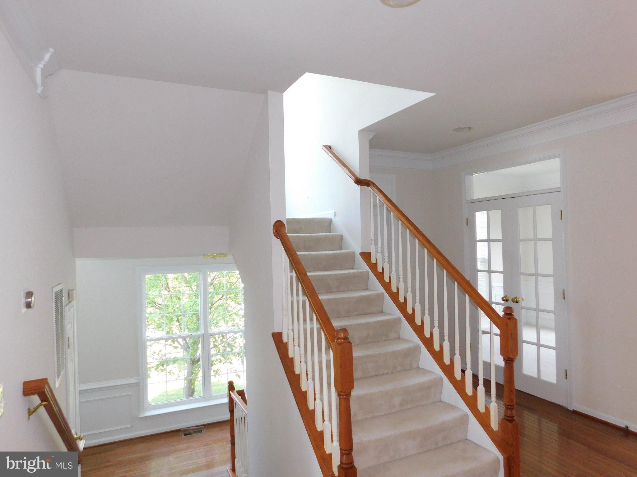 8251 PURPLE LILAC CIRCLE