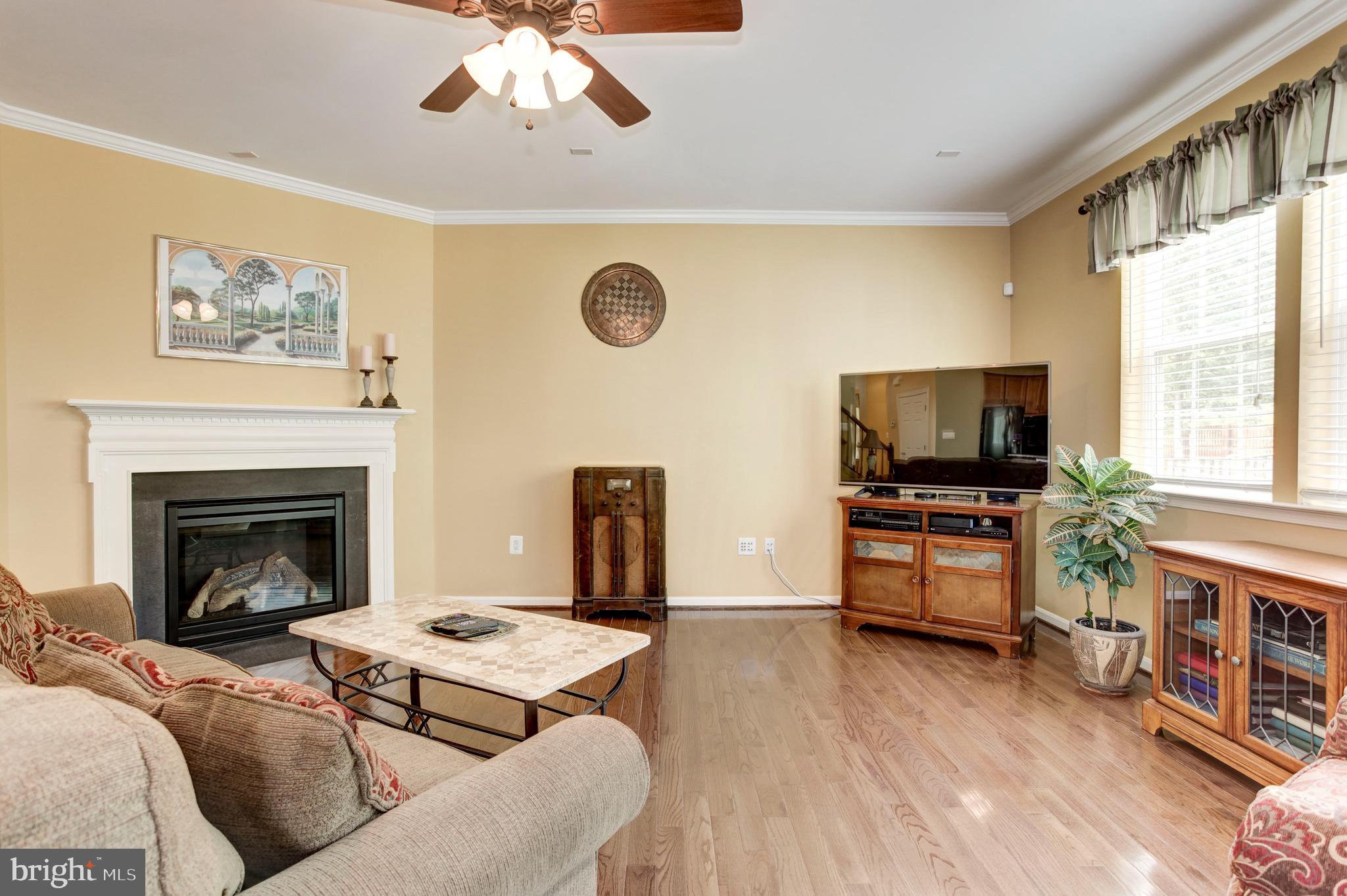 LANIER FARMS - Residential