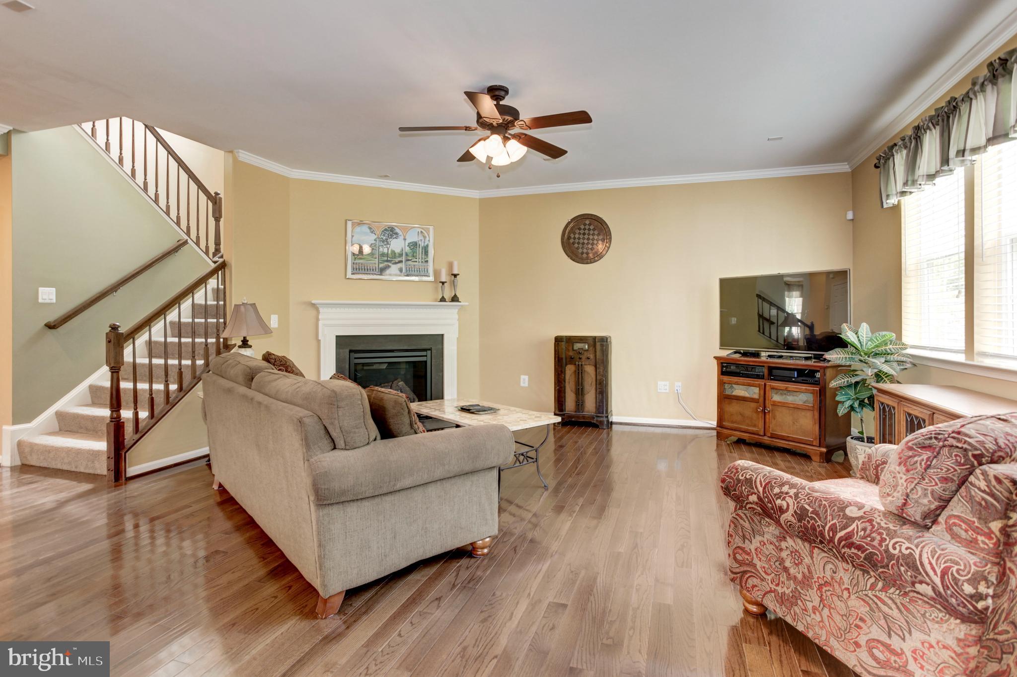 LANIER FARMS - Residential