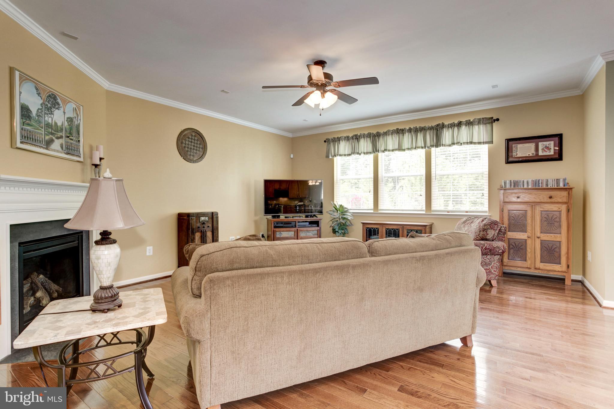 LANIER FARMS - Residential