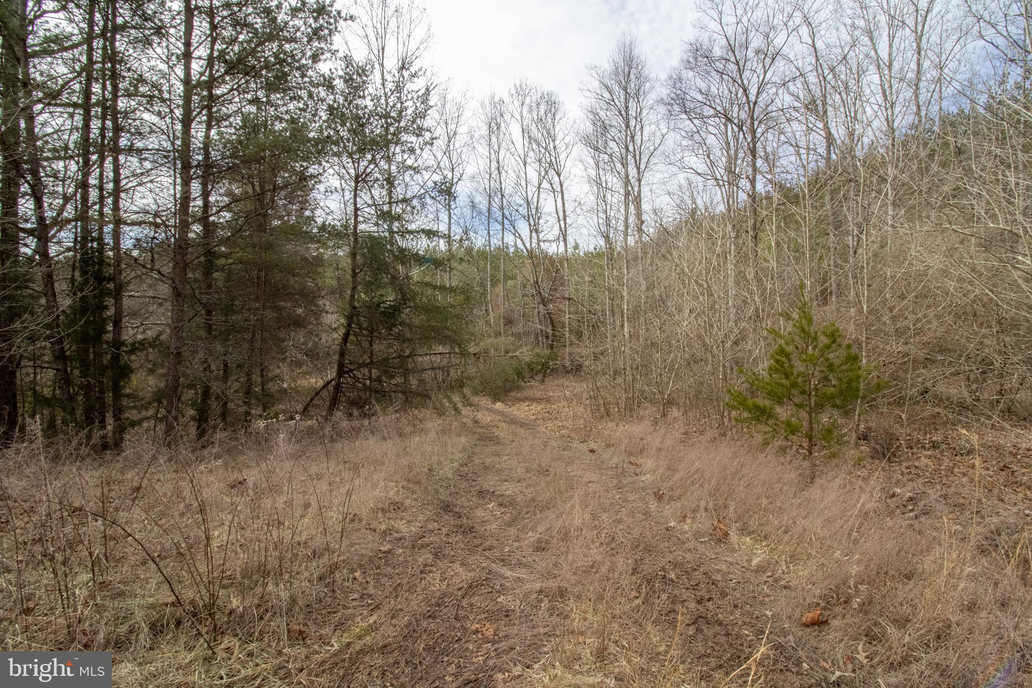 TBD TARDY MOUNTAIN ROAD 7