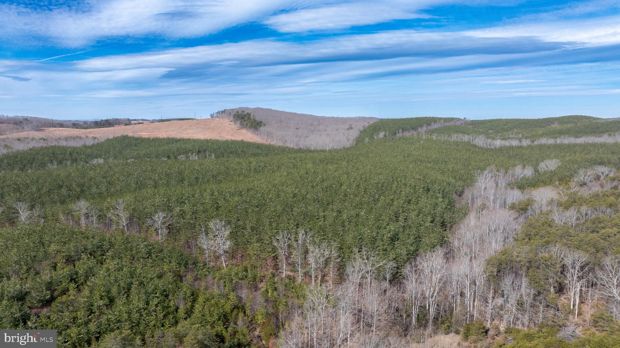 TBD TARDY MOUNTAIN ROAD 7