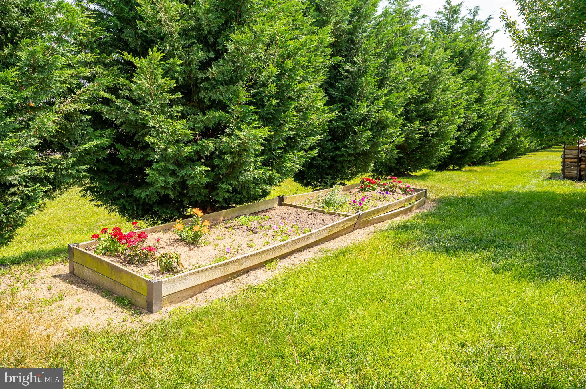 BRIDLE CREEK - Residential