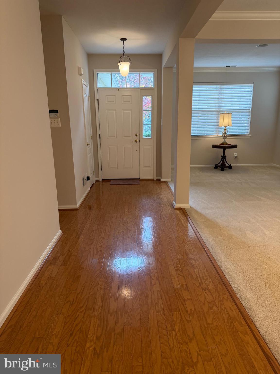 1 CASERTA DRIVE DRIVE