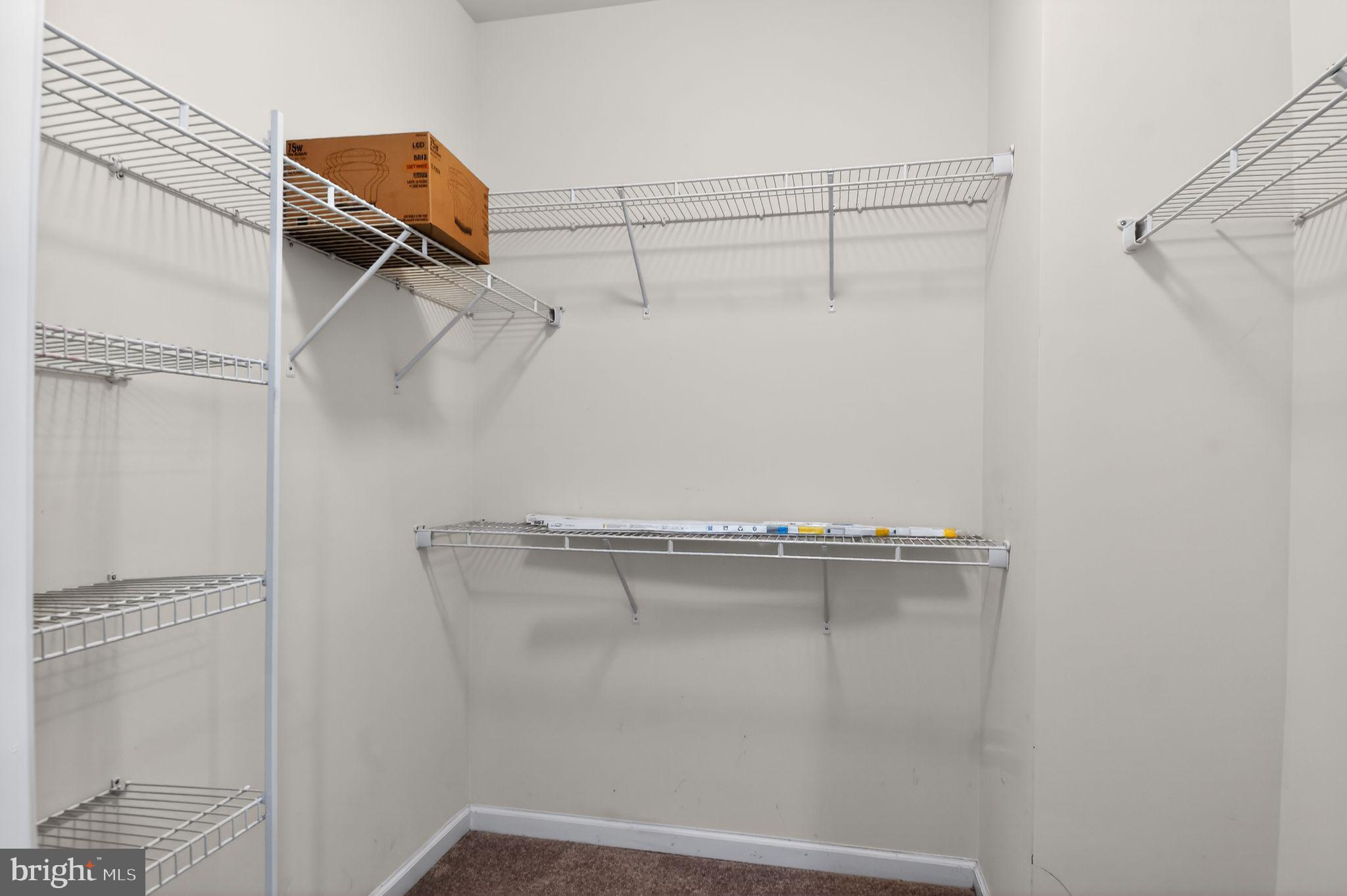 BEACH TREE - Residential Lease