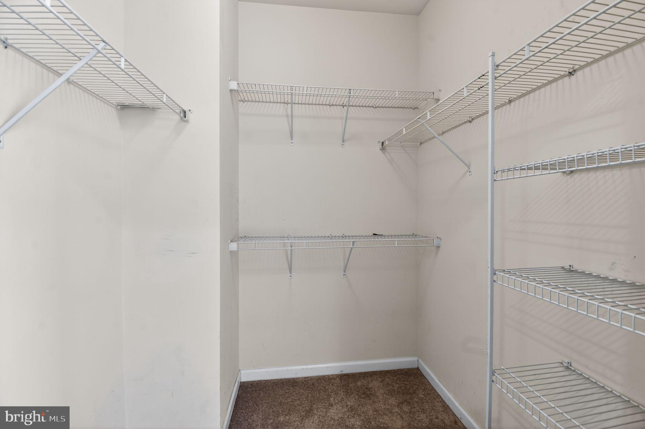 BEACH TREE - Residential Lease