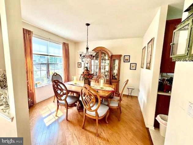 17 MARIGOLD LANE
