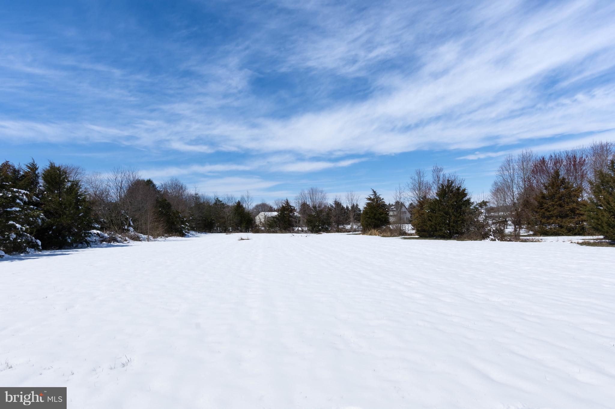 LUCKY SHOE RANCHETTES - Residential