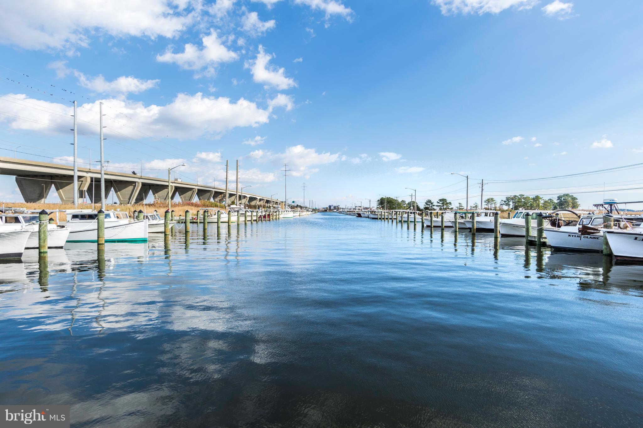 LUCKY SHOE RANCHETTES - Residential
