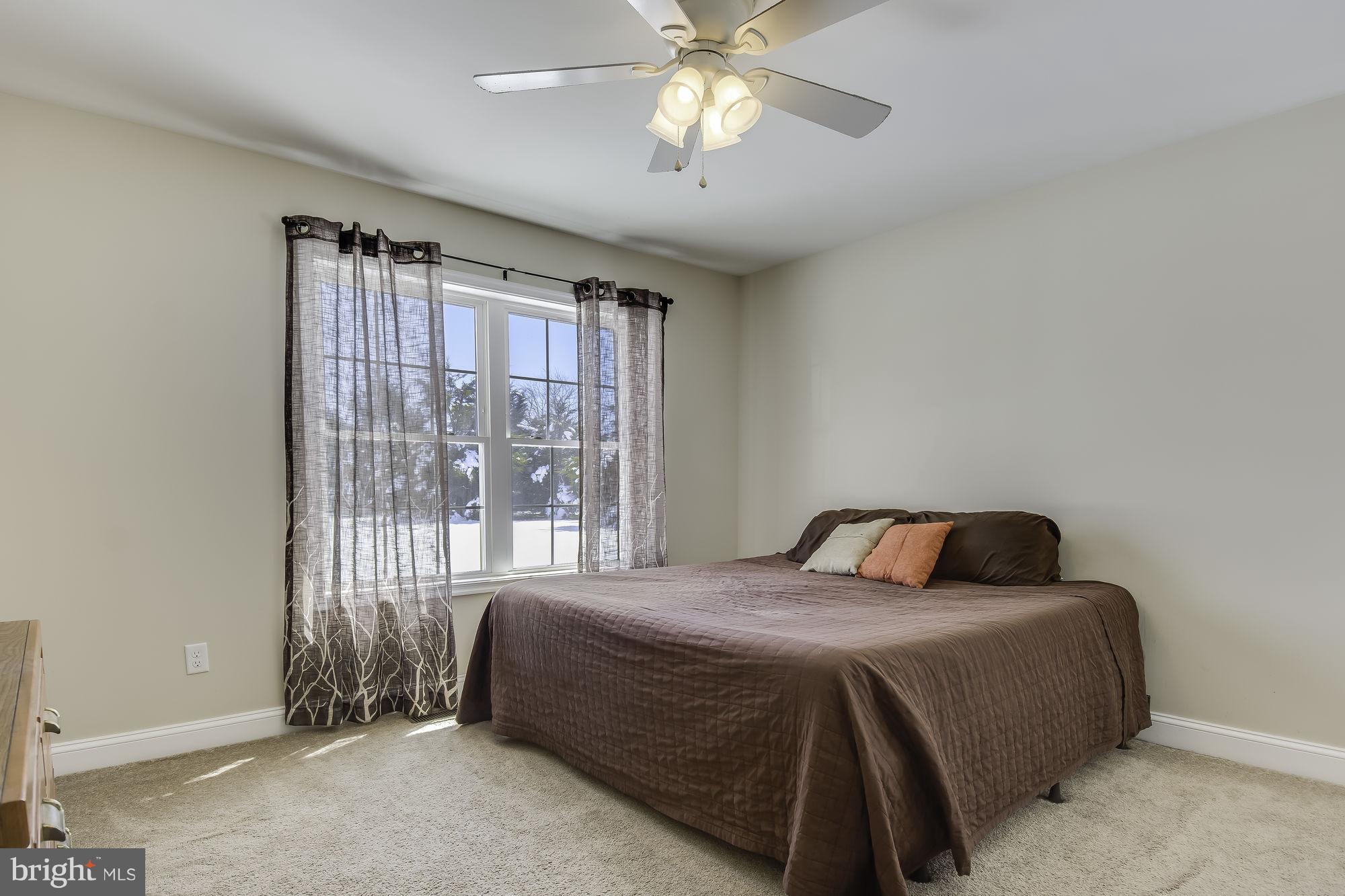 LUCKY SHOE RANCHETTES - Residential