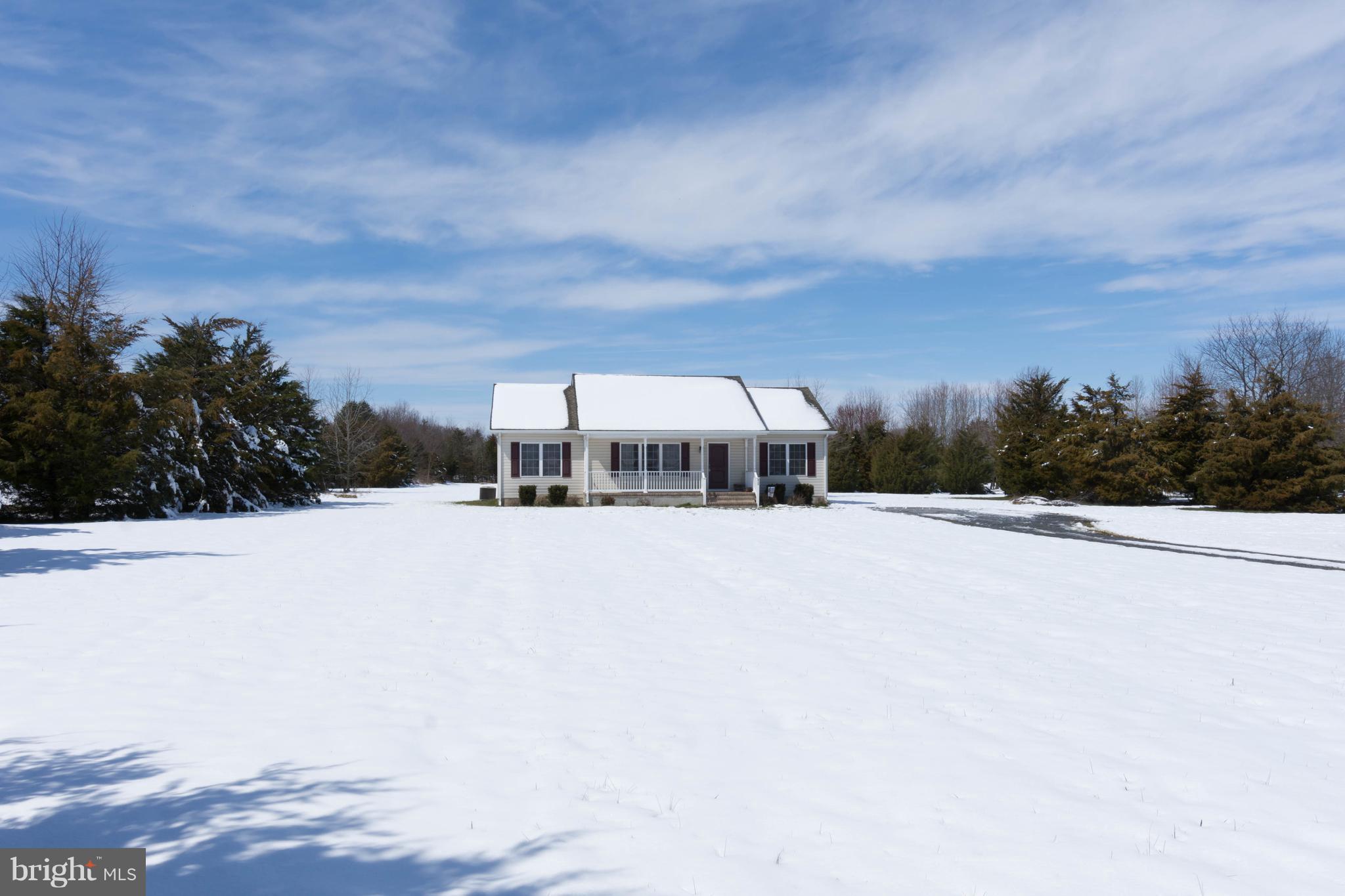 LUCKY SHOE RANCHETTES - Residential