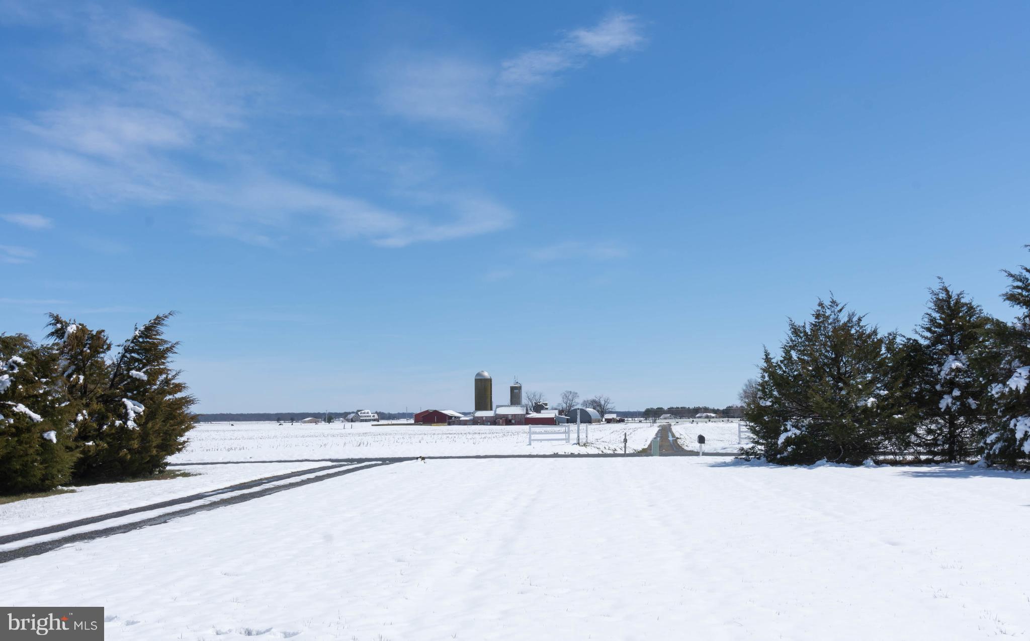 LUCKY SHOE RANCHETTES - Residential