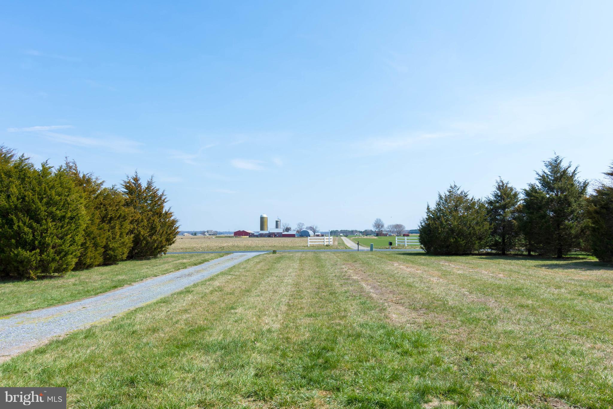 LUCKY SHOE RANCHETTES - Residential