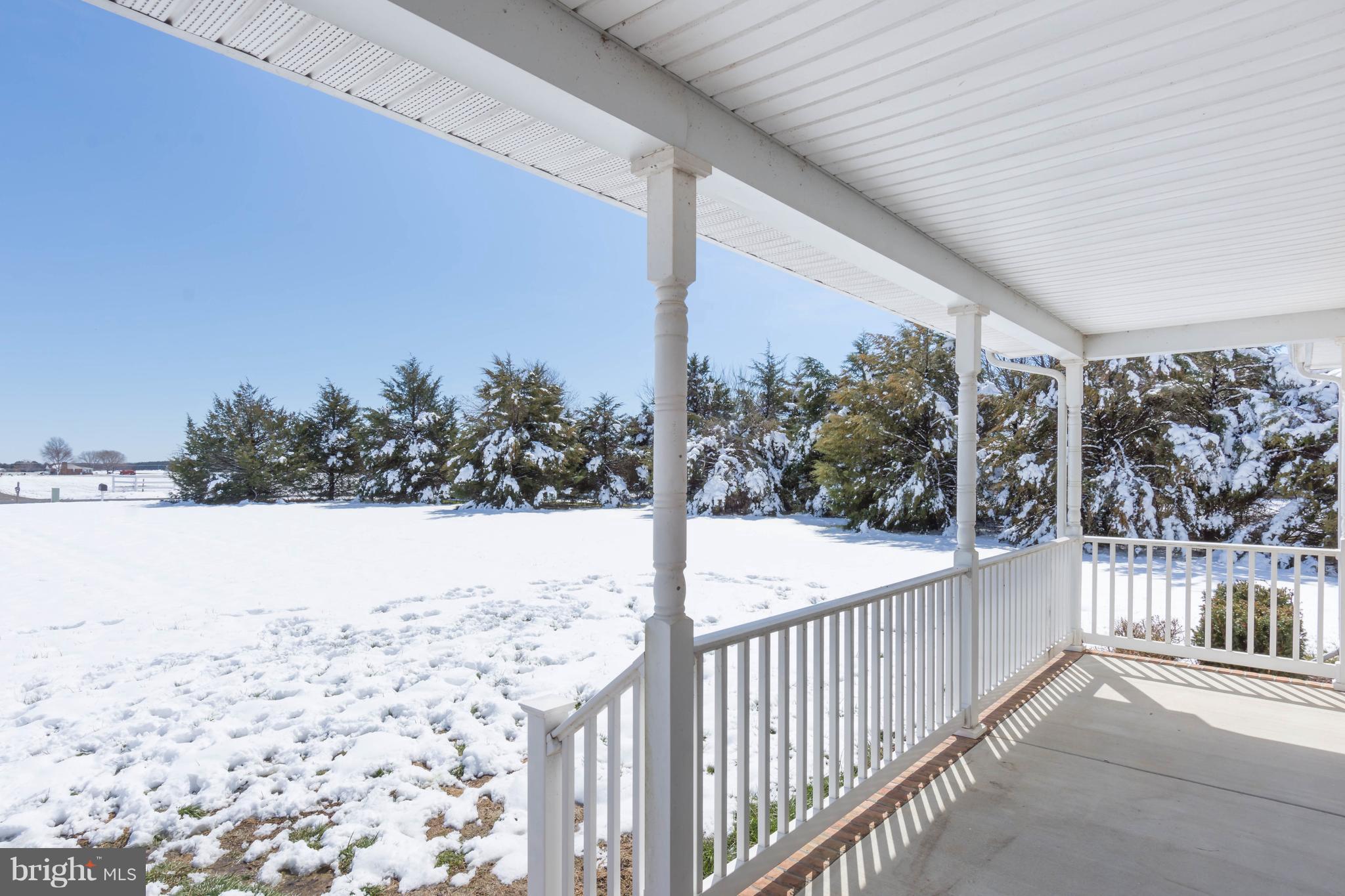 LUCKY SHOE RANCHETTES - Residential